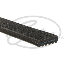 Gates Kanallı Kayış Çift Kanallı Pas Ym Bora Golf Iv-Polo 68381D x C 06A260849B-06A260849C-06A2608