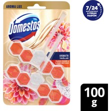 Domestos Tuvalet Bloğu Aroma Lux Yıldız Çiçeği & Ejder Meyvesi 100 gr