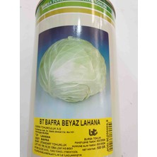 Bursa Tohum Bt Bafra Beyaz Lahana Tohumu 500 Gram