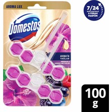 Domestos Tuvalet Bloğu Aroma Lux Hibiskus & Kırmızı Meyveler 100 gr