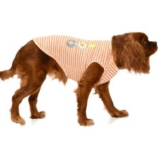 Petza Küçük ve Orta Irk Köpek T Shirt Stina