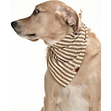 Petza Köpek Bandana Barbo