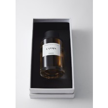 Mango Cannes Edt 100 ml Erkek Parfümü