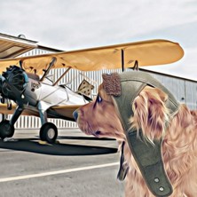 Petza Küçük Orta ve Büyük Irk Köpek Şapka Pilot Yeşil