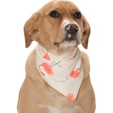 Petza Köpek Bandana Mei
