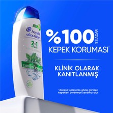 Head & Shoulders Mentol Ferahlığı 2si1 Arada Kepeğe Karşı Etkili Şampuan 625 ML