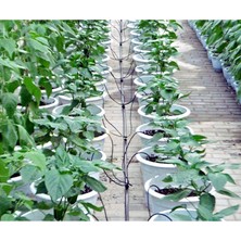 Gdtt Cocopeat ve Saksı Sulama Mikro Kazık Aparat Seti 5 mm