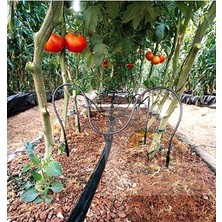 Gdtt Cocopeat ve Saksı Sulama Mikro Kazık Aparat Seti 5 mm