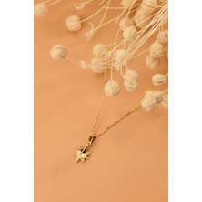 ÇGK KUYUMCULUK Pusula  Altın Kolye  CGKKLY107