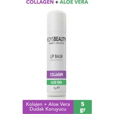 Roys Beauty Lip Balm Kolajen Aloe Vera