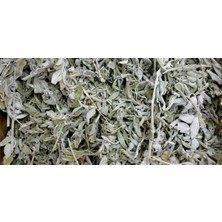 ARB Doğal Çalba (Salvia Fruticosa) - Saf ve Taze Adaçayı