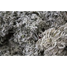 ARB Doğal Çalba (Salvia Fruticosa) - Saf ve Taze Adaçayı