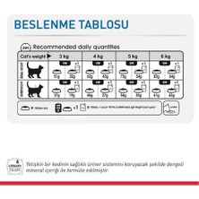 Royal Canin Light Weight Gravy Yetişkin Kedi Yaş Maması 85 Gr*12