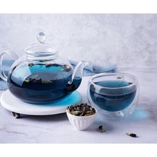 Morlalem Mini Fide, Mavi Kelebek Sarmaşığı Çiçeği Fidesi, Mavi Çay, Clitoria Ternatea Tea Blue Butterfly