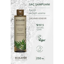 ECOLATIER Saç Şampuanı Hacim Veren Hızlı Uzama Büyüme, Organik Kenevir 250 ml / Hair Shampoo Volume & Growth Cannabis