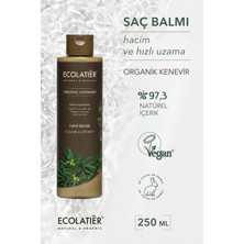 Saç Bakım Kremi Hacim Ve Hızlı Uzama Organik Kenevir, Besleyici, Güçlendirici 250 ml