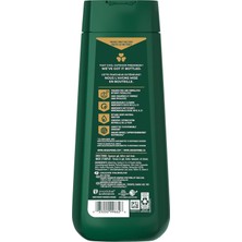 Irish Spring Aloe Mist Nemlendirici Yüz ve Vücut Yıkama 591ML