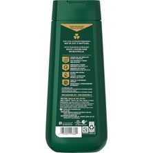 Irish Spring Charcoal Refresh Nemlendirici Yüz ve Vücut Yıkama 591Ml