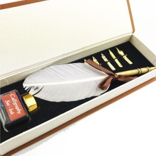 Steelpen Orijinal Steel Pen Kuş Tüyü Divit Kalemi Seti