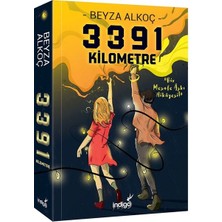 3391 Kilometre