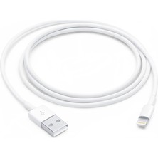 Wplus 1 Metre Lightning USB Şarj Kablosu - Hızlı ve Güvenli Şarj, Apple Uyumlu