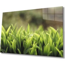 Hobyy Yeşil Yapraklar Cam Tablo    Green Leaves