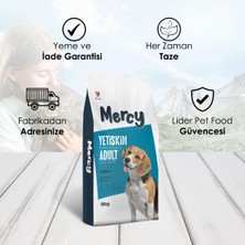 Mercy Somonlu Yetişkin Köpek Maması 15 kg