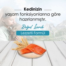 Mercy Somonlu Yetişkin Kedi Maması 10 kg