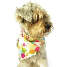 Petza Köpek Bandana / Danika