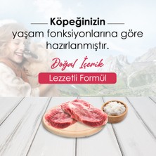 Dog Plus Düşük Tahıllı Hipoalerjenik Kuzu Etli Pirinçli Yetişkin Köpek  Maması 15 Kg + Kuzu Etli + Dana Etli Ödül