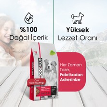 Dog Plus Düşük Tahıllı Hipoalerjenik Kuzu Etli Pirinçli Yetişkin Köpek  Maması 15 Kg + Kuzu Etli + Dana Etli Ödül