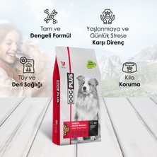 Dog Plus Düşük Tahıllı Hipoalerjenik Kuzu Etli Pirinçli Yetişkin Köpek  Maması 15 Kg + Kuzu Etli + Dana Etli Ödül