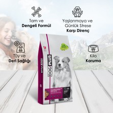 Dog Plus Düşük Tahıllı Hipoalerjenik Kuzu Etli Yüksek Enerjili Yetişkin Köpek Maması 15 Kg + Kuzu Etli + DanaEtli Ödül