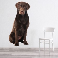 Jeronkarji Çikolata Labrador Köpek Dekoratif Duvar Sticker Çıkartma Yatak Çocuk Odası