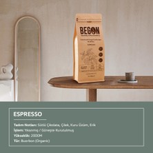 Begon Nord Kivu Premium Espresso (Çekirdek) Kahve 5 Kg