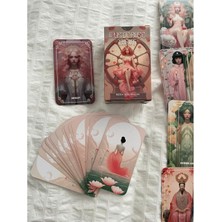 Attach Mystic Rose Tarot