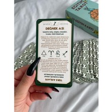 Attach Regın 78 Kartlı Eğitim Tarot