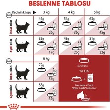 Royal Canin Fit 32 Yetişkin Kedi Maması 400+400 gr Hediyeli