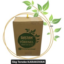 Baştan Yöresel 5kg Teneke Gezdirilen Bozdağ Karakovan Balı