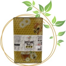 Baştan Yöresel 5kg Teneke Kestane Balı