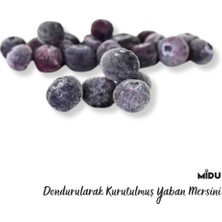 Mıdu Freeze Dry Yaban Mersini 50 gr.