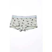 Paul Kenzie x Kurtaran Ev - Desenli Kadın Boyshort Külot - Frenchie