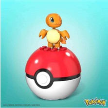 Mega Pokemon Poke Ball Charmander