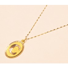 Güler Kuyumculuk 14 Ayar Altın Aynalı Zincirli C Harfi