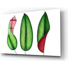 Teknoloji Shop Minimal Yapraklar Cam Tablo