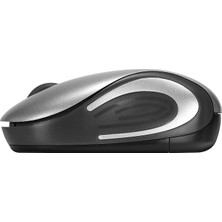 Everest SMW-555 USB Gümüş 2.4ghz Optik Wireless Mouse