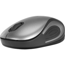 Everest SMW-555 USB Gümüş 2.4ghz Optik Wireless Mouse