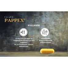 Creavit Pappex® Ahcc, Egcg, Vitamin B12 ve Vitamin C, 120 Vegan Kapsül