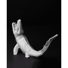 Turansoy Craft Jurassic Park Dinozor Oyuncak Seti Oyuncak Dinozor Hayvan Seti 3 Parça 13 Cm