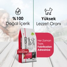 Dog Plus Düşük Tahıllı Hipoalerjenik Kuzu Etli Pirinçli Yetişkin Köpek Maması 3 kg x 2 Adet